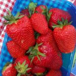 jagode5_75