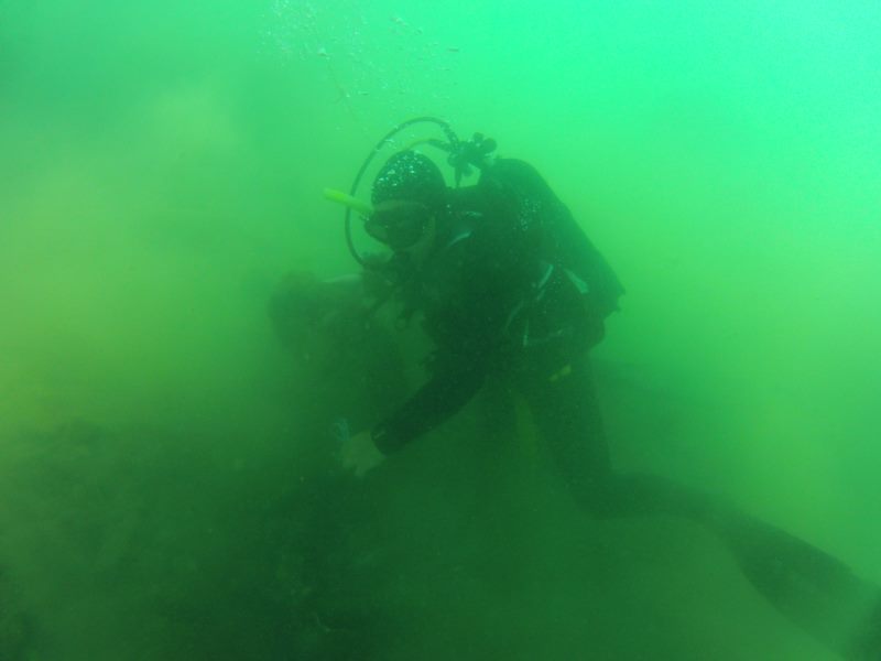 Akcija čišćenja podmorja u Šipanskoj Luci