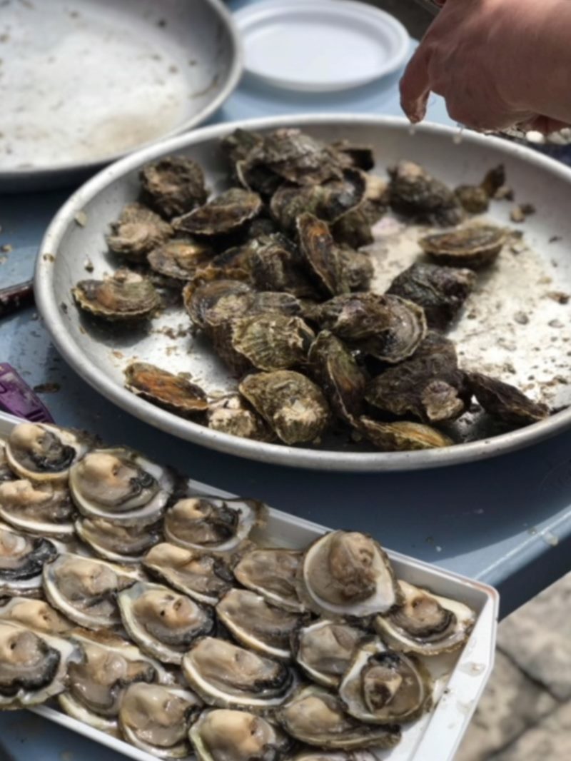 Održana tradicionalna Festa od Kamenica