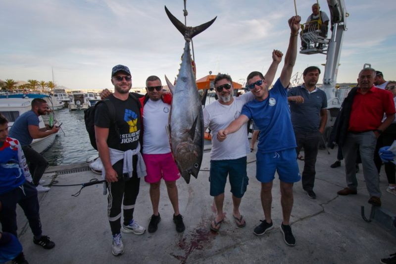 The ultimate sea adventure incentive in Dubrovnik - Tuna fishing