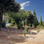 camping_solitudo_photo_2