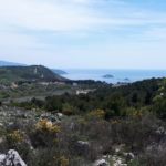hikingpicture2