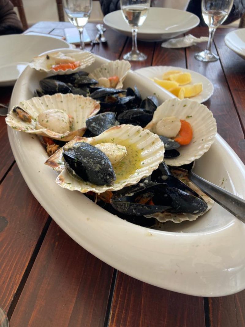 Immerse Your Palate in the Sea: Experience a Unique Incentive Program with Oyster Farm Visits and Mali Ston Oyster Tastings