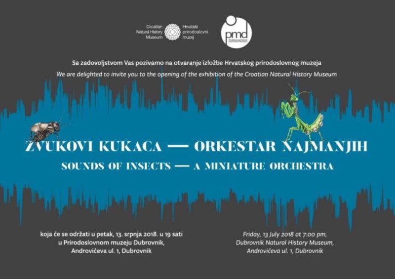 Exhibition - Sounds of Insects (A Miniature Orchestra)