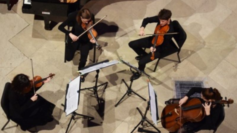 DSO STRING CHAMBER ORCHESTRA -DSO STRING QUARTET