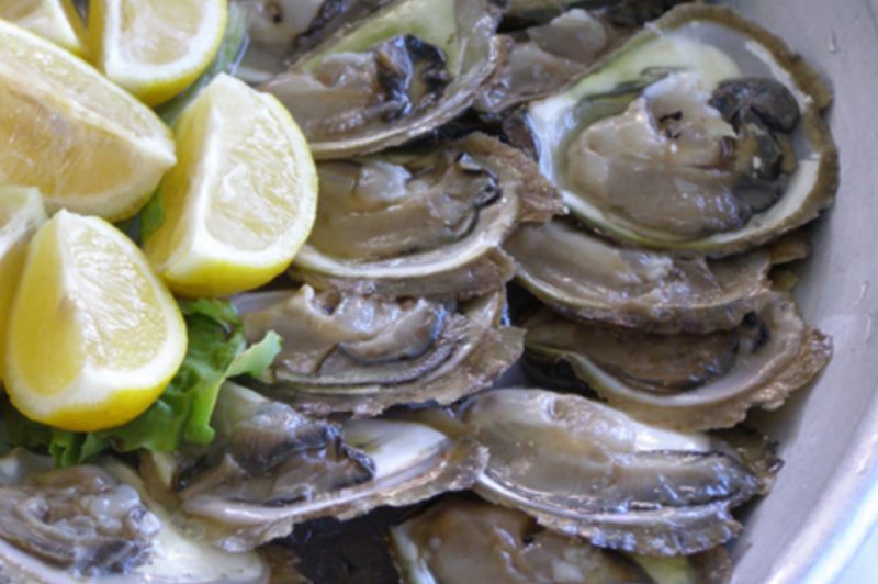 Buffet Kamenica
