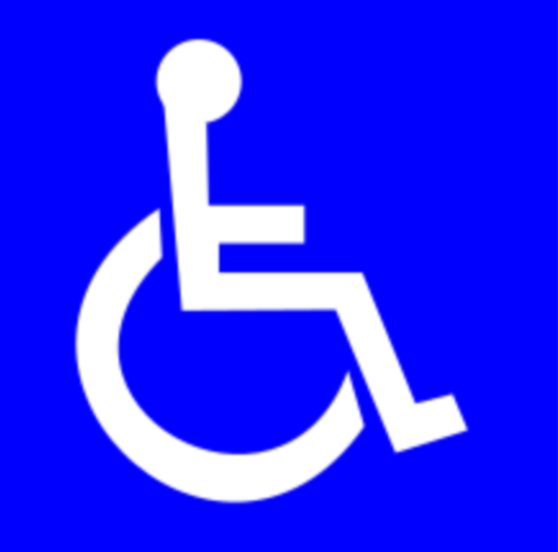 INFORMATION FOR PERSONS WITH DISABILITIES