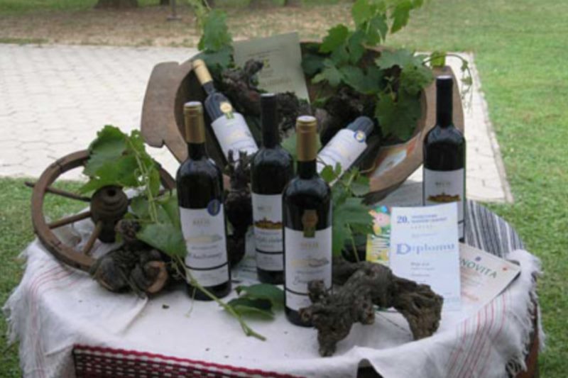 Festa Dubrovnik - Wine Festivity