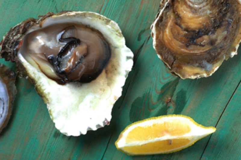 Za gastronomski užitak