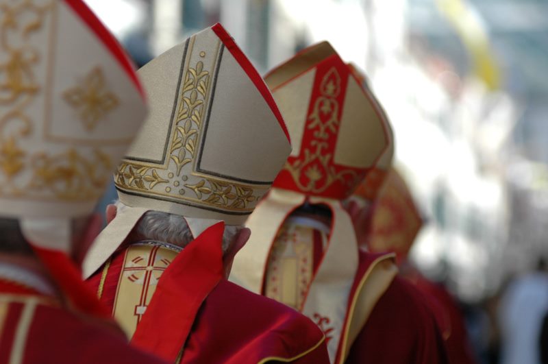 2016.  Godina sv. Vlaha