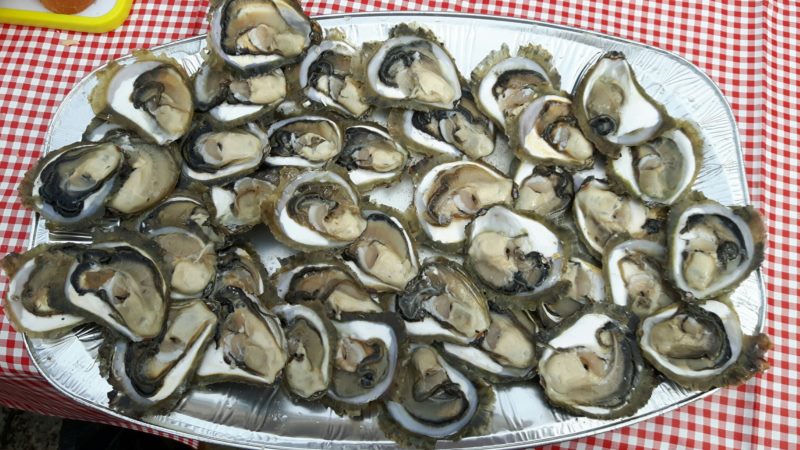 Održana Festa od kamenica