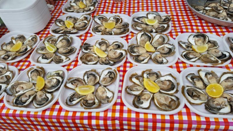 Održana Festa od kamenica