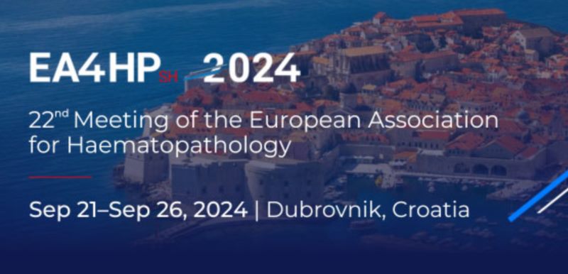 Dubrovnik to host the 22nd Meeting of the EA4HP and SH
