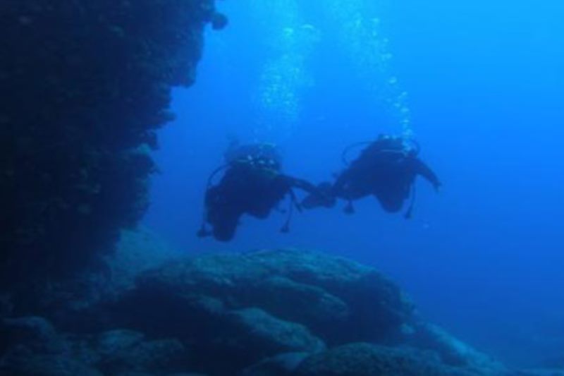  ダイビング・ウォータースポーツ・センターＡＢＹＳＳ